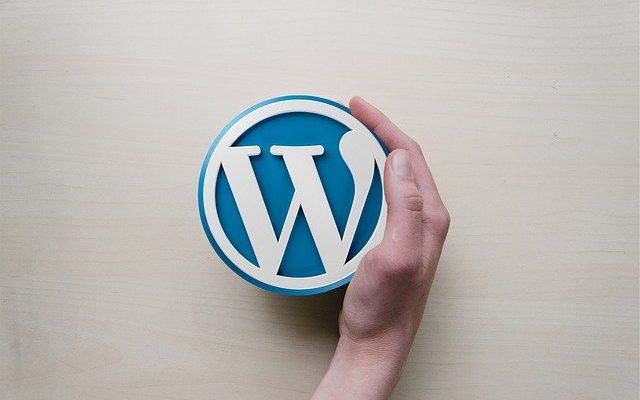 O que é WordPress e Como Ganhar Dinheiro com Isso | 10 Ideias Incríveis